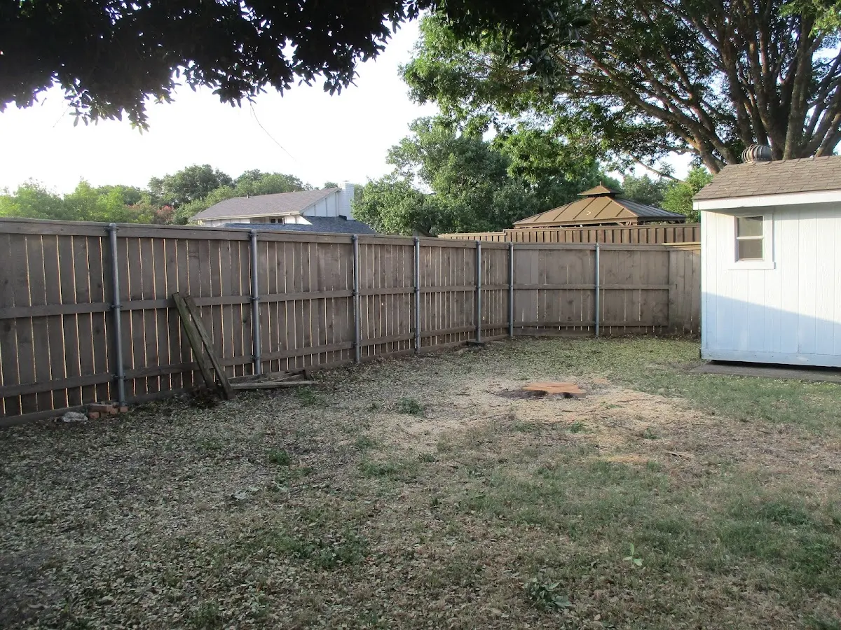 Cleared yard after professional tree removal in Friendship